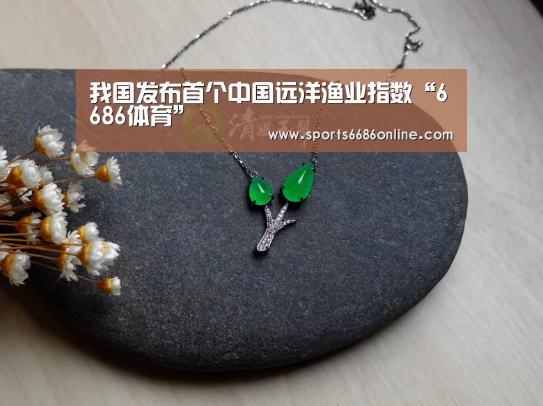 6686体育