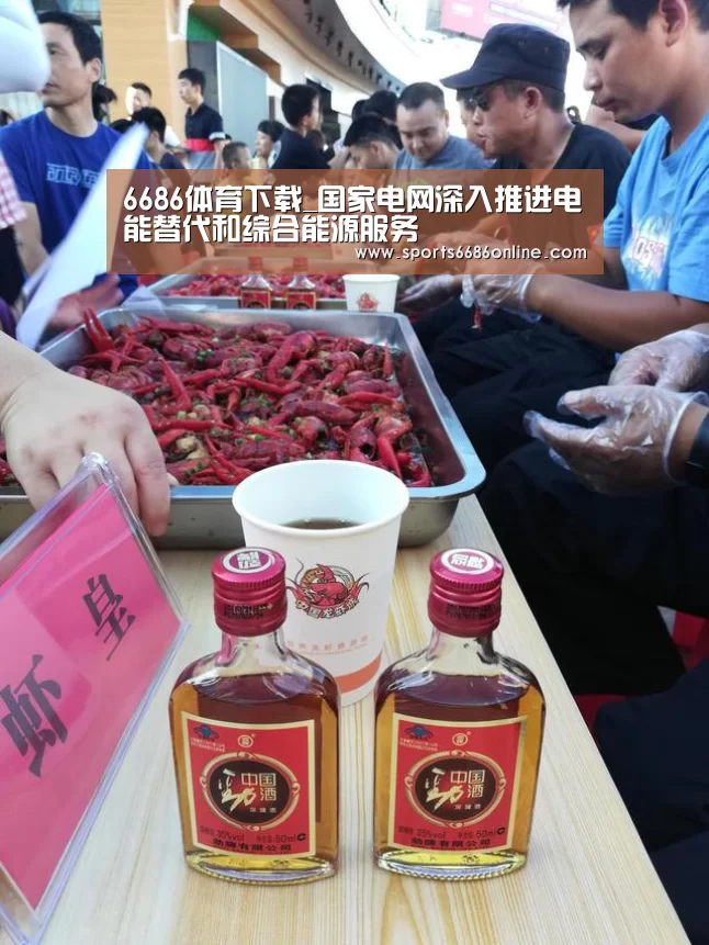 6686体育下载_国家电网深入推进电能替代和综合能源服务(图3) 6686体育直播