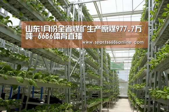 山东1月份全省煤矿生产原煤977.7万吨-6686体育直播(图4) 6686体育官网