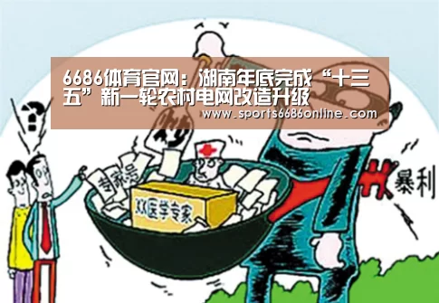 6686体育官网:湖南年底完成“十三五”新一轮农村电网改造升级(图1) 6686体育官网