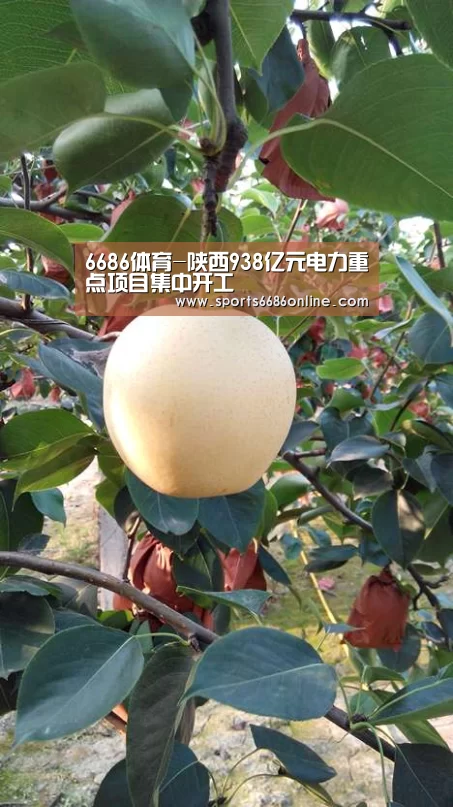 6686体育-陕西938亿元电力重点项目集中开工(图2) 6686体育直播
