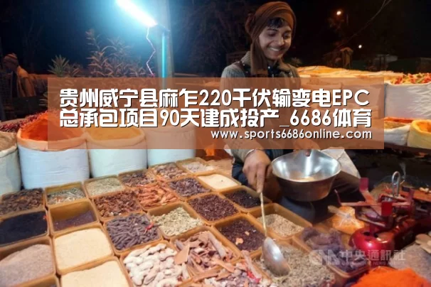 贵州威宁县麻乍220千伏输变电EPC总承包项目90天建成投产_6686体育直播