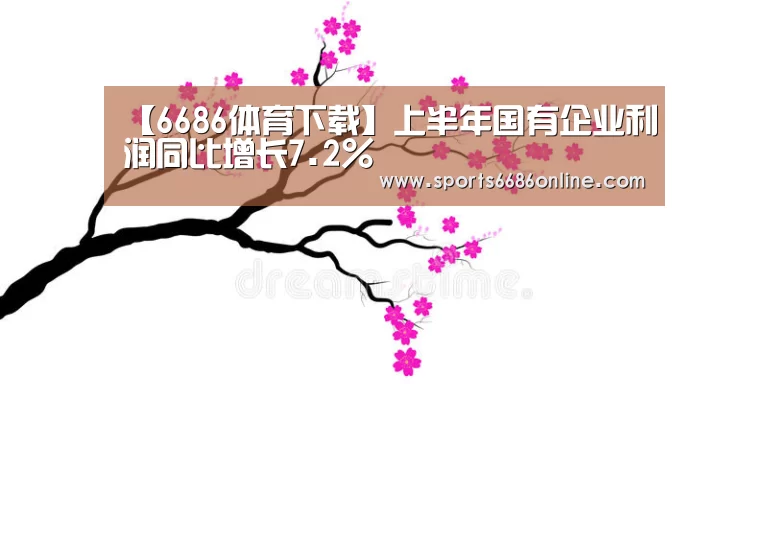 【6686体育下载】上半年国有企业利润同比增长7.2%